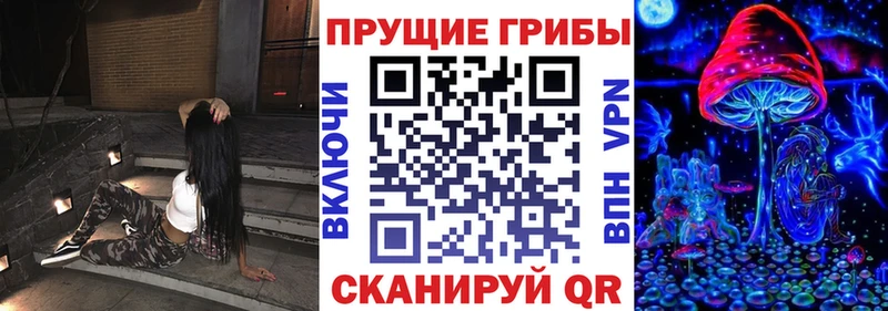 Галлюциногенные грибы Cubensis Елец