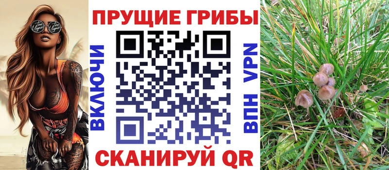 Псилоцибиновые грибы GOLDEN TEACHER  Купить где  Елец 